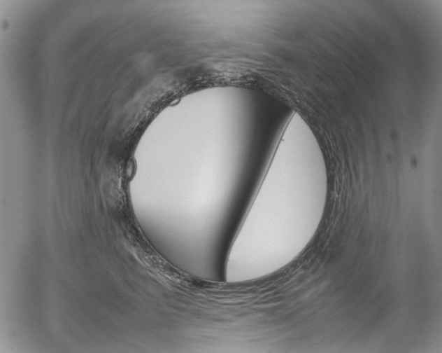 X0000054390615200507290808