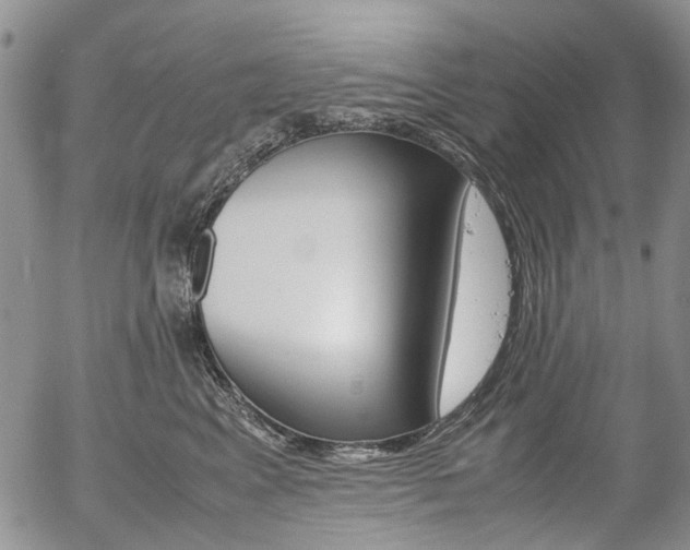X0000054390617200507290808