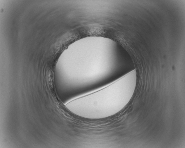X0000054390619200507290808