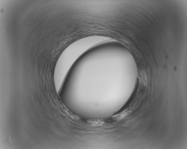 X0000054390621200507290808