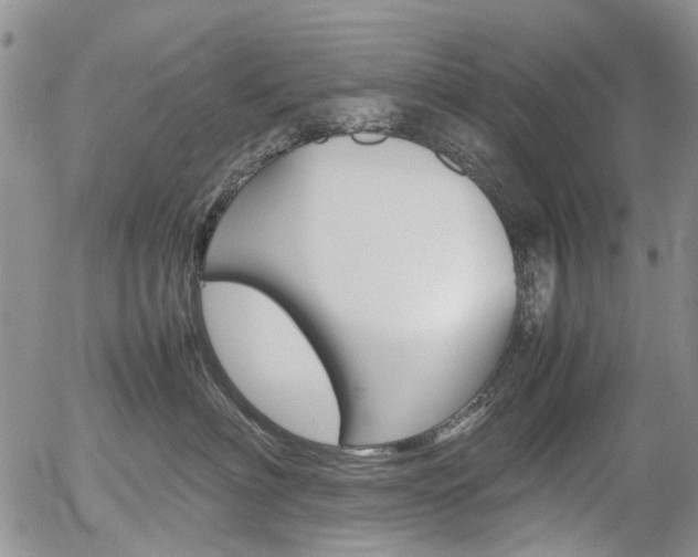 X0000054390622200507290808