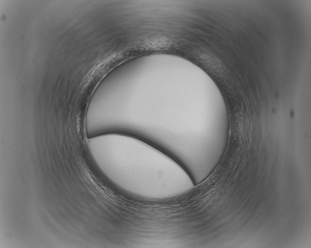 X0000054390640200507290807