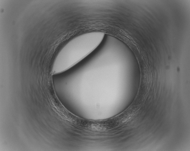 X0000054390641200507290807
