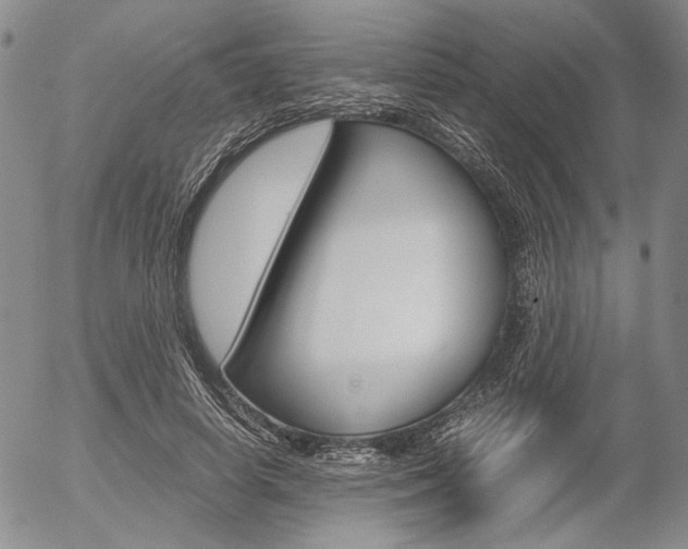 X0000054390642200507290807