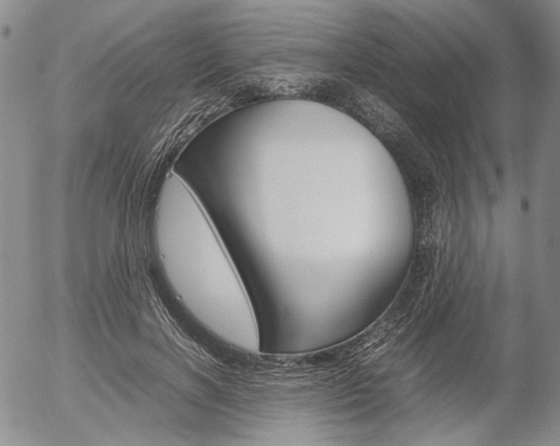 X0000054390646200507290807