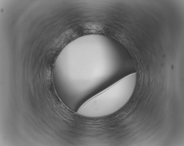 X0000054390657200507290807
