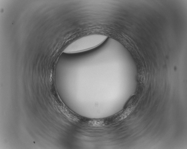 X0000054390660200507290807