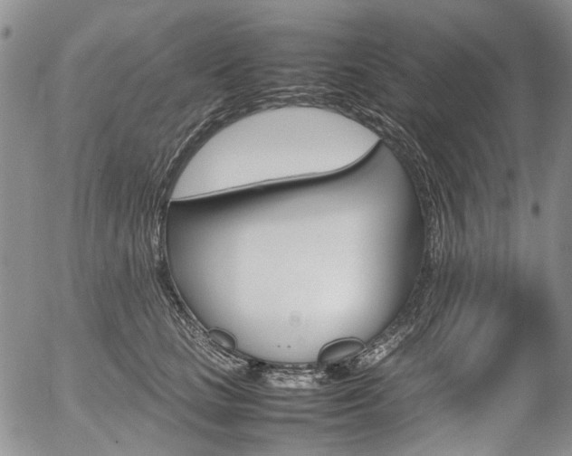 X0000054390661200507290807