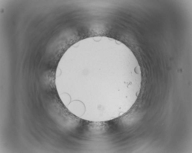 X0000054390672200507290808