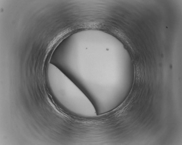 X0000054390674200507290807