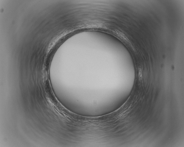 X0000054390676200507290807