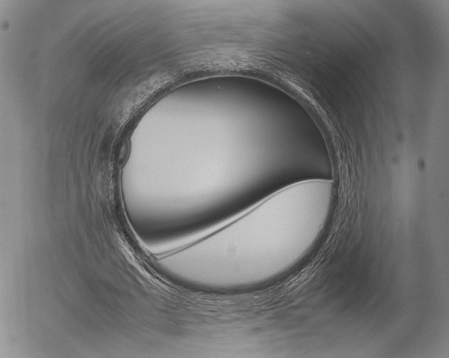 X0000054390677200507290807