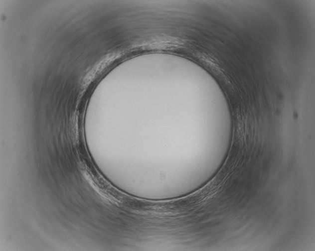 X0000054390678200507290807