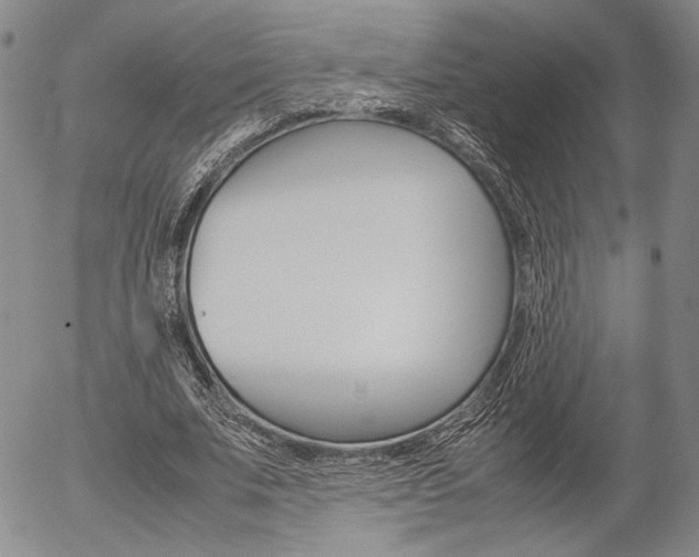X0000054390679200507290807