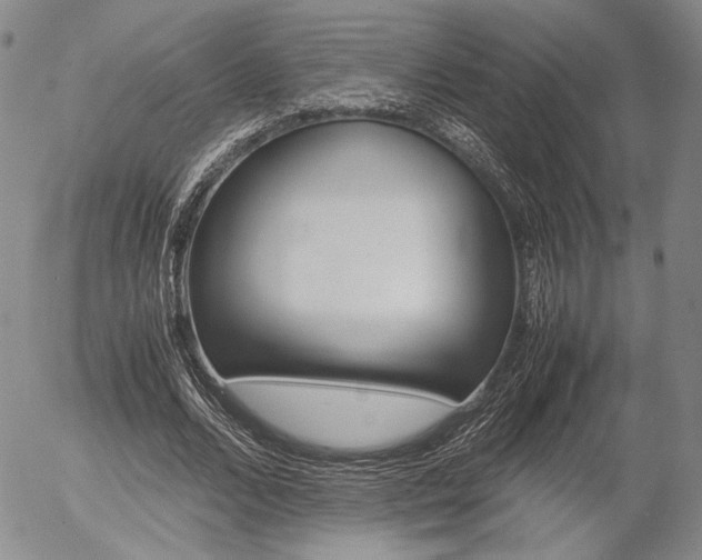 X0000054390680200507290807