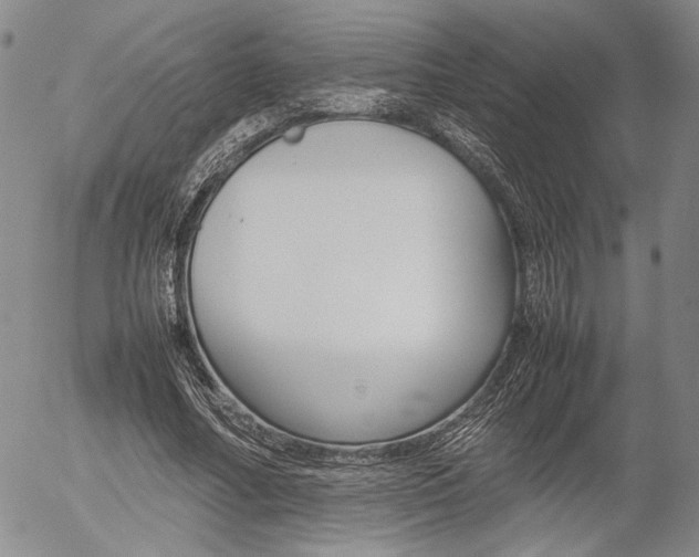 X0000054390682200507290807