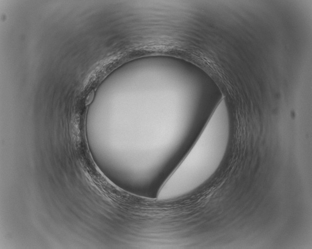 X0000054390688200507290807