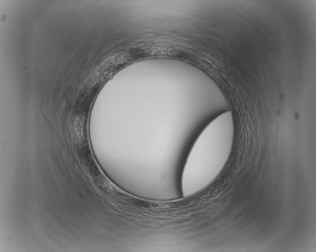 X0000054390695200507290806