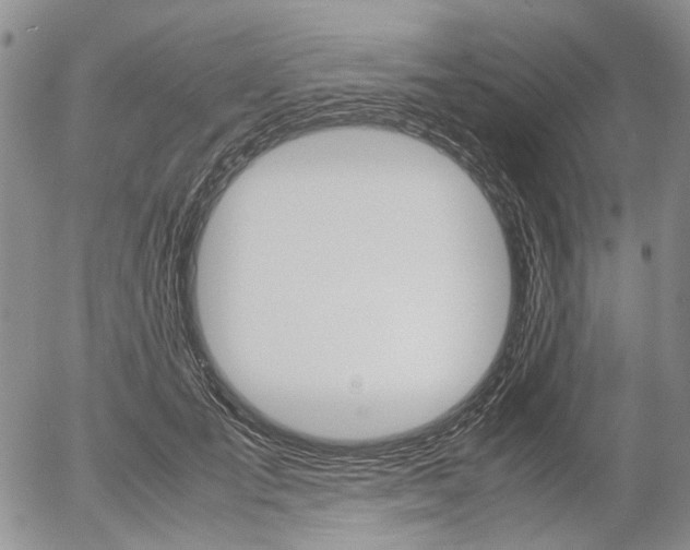 X0000054390701200507290806