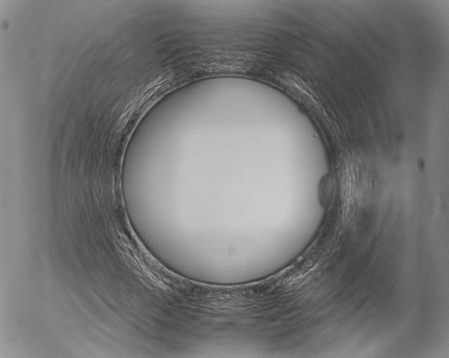 X0000054390729200507290805