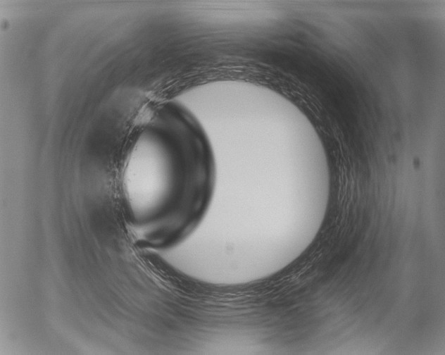 X0000054390750200507290806