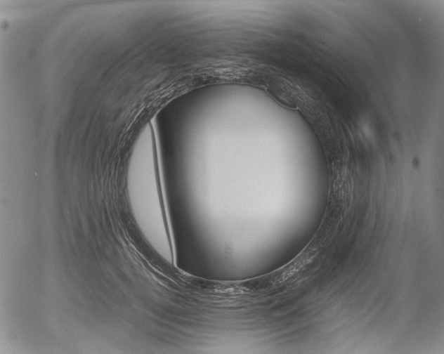 X0000054390752200507290806