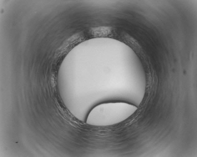 X0000054390761200507290806