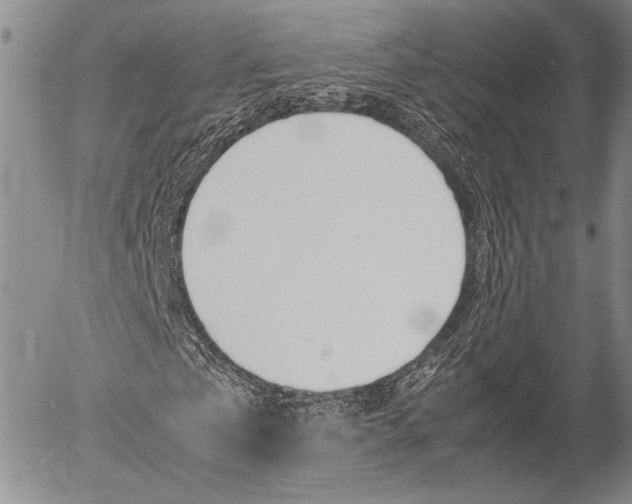 X0000054390769200507290805