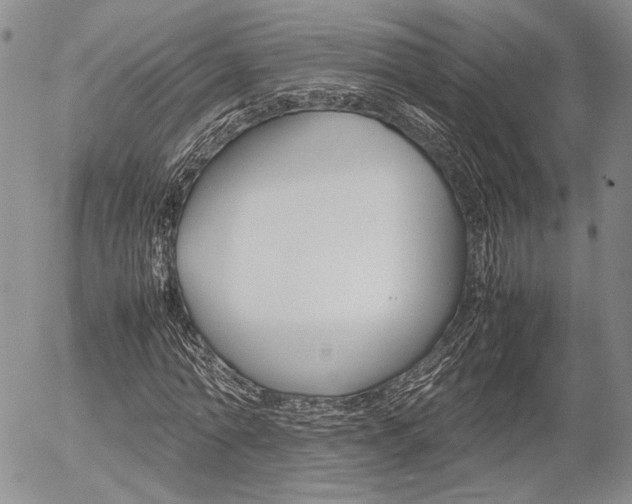 X0000054390774200507290805