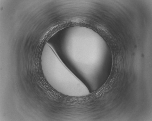 X0000054390776200507290805