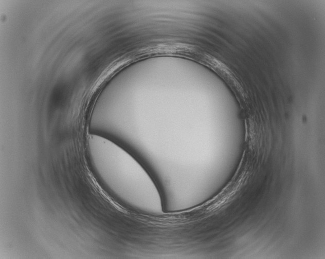 X0000054390794200507290805