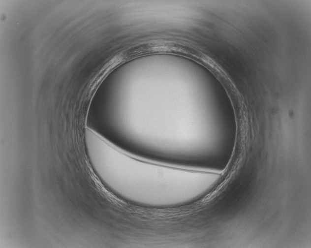 X0000054390801200507290805