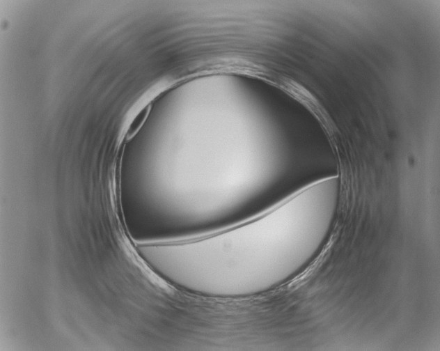 X0000054390812200507290805