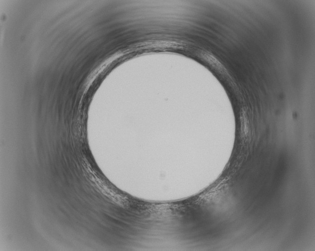 X0000054390828200507290804
