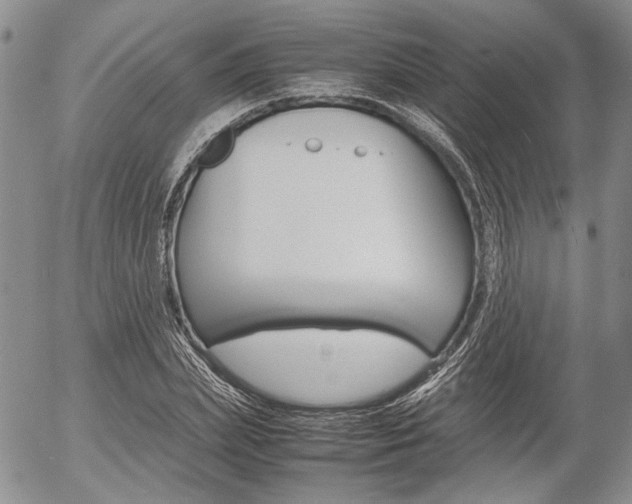 X0000054390831200507290804