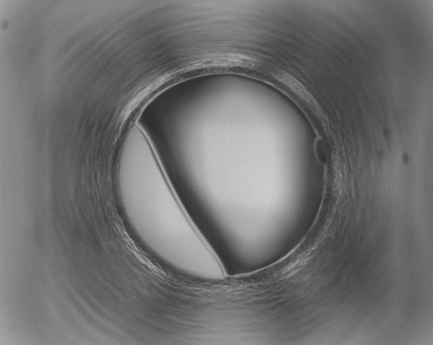 X0000054390834200507290804