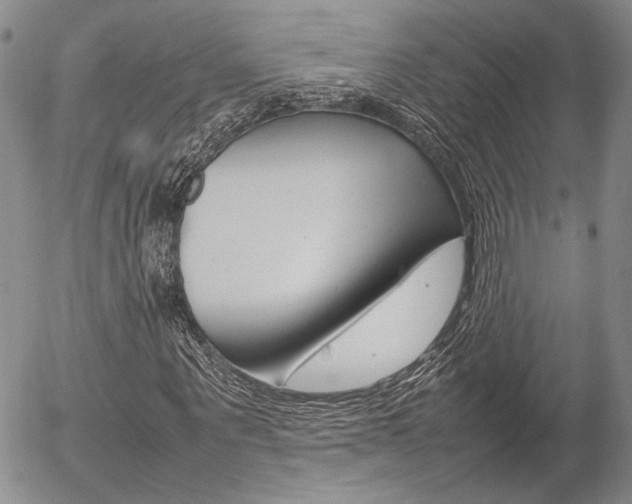 X0000054390867200507290804