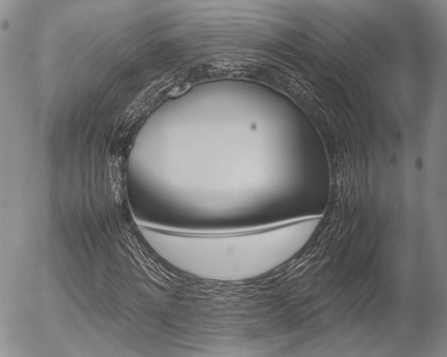 X0000054390868200507290804
