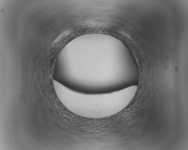 X0000054390869200507290804