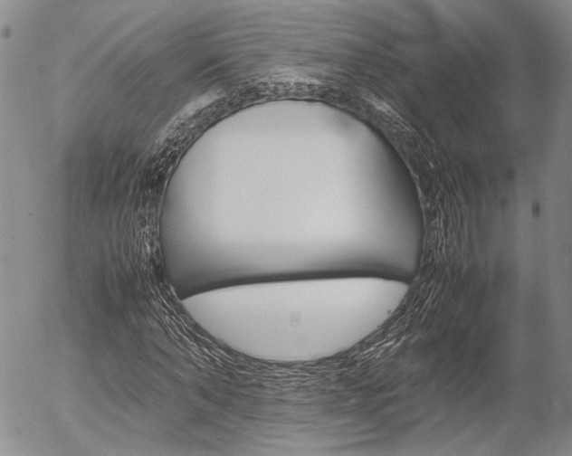 X0000054390870200507290804