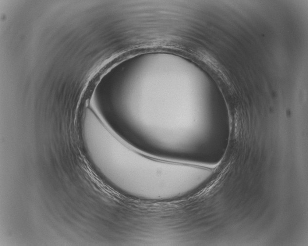 X0000054390876200507290803