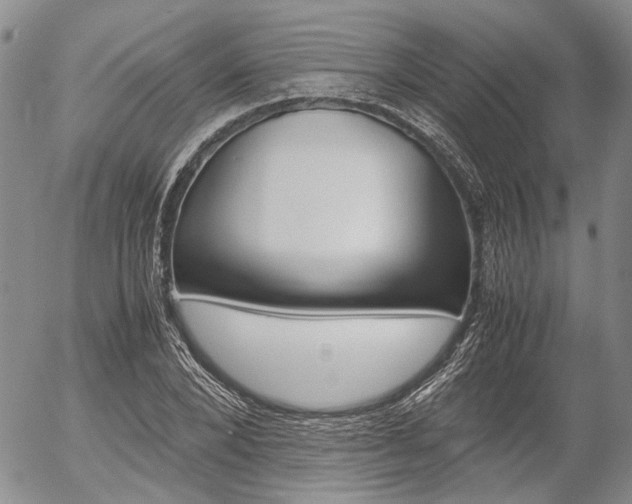 X0000054390880200507290803