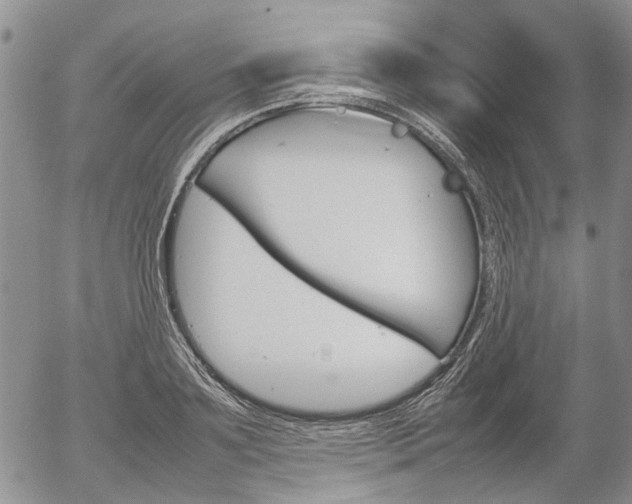 X0000054390891200507290803