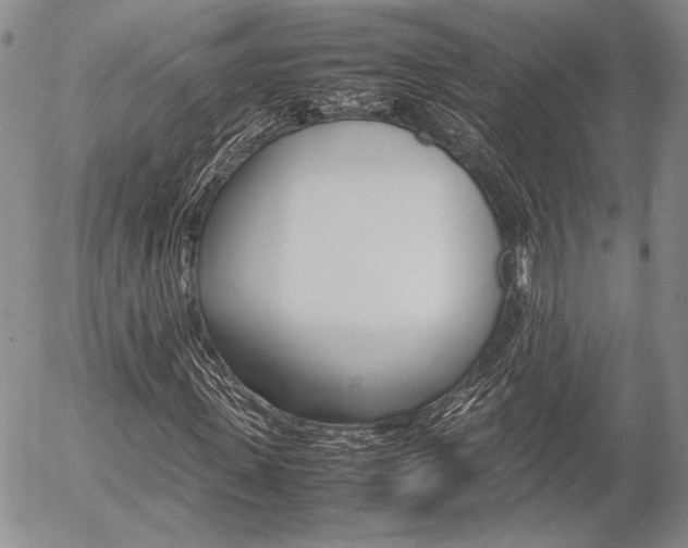 X0000054390915200507290802