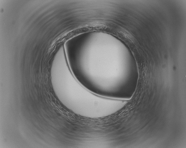 X0000054390920200507290802