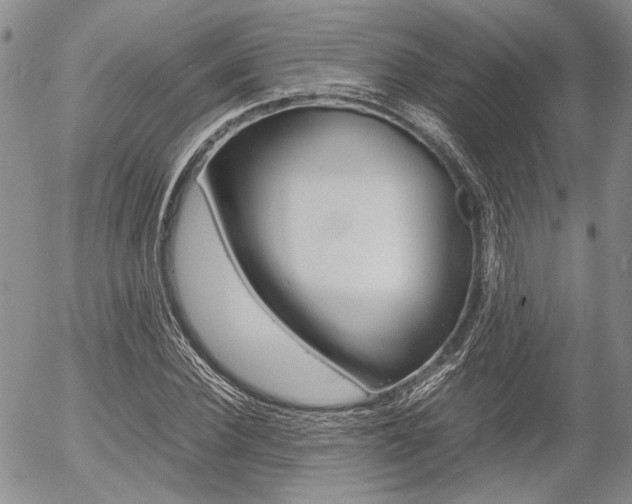 X0000054390924200507290802