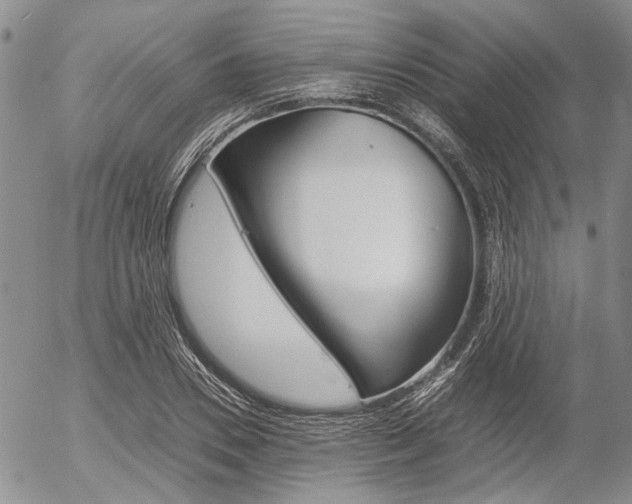 X0000054390930200507290802