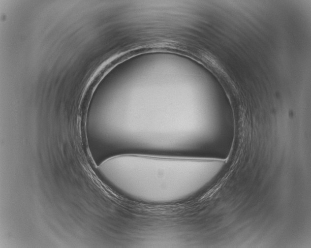 X0000054390932200507290802
