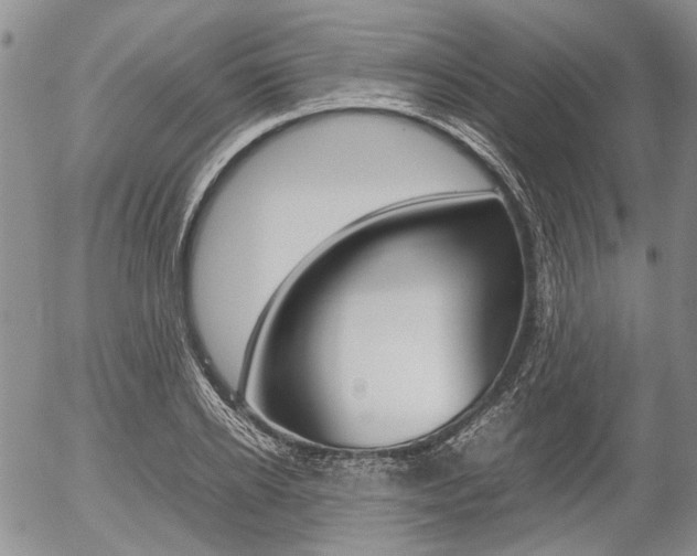 X0000054390934200507290802