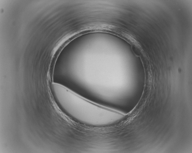 X0000054390936200507290802